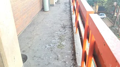 Building balcony covered in pigeon droppings showing the extent of bird damage
