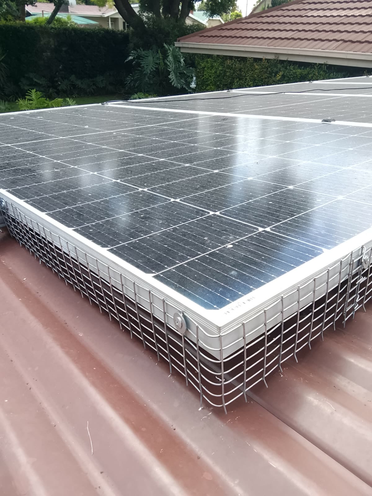 Bird mesh around solar panels