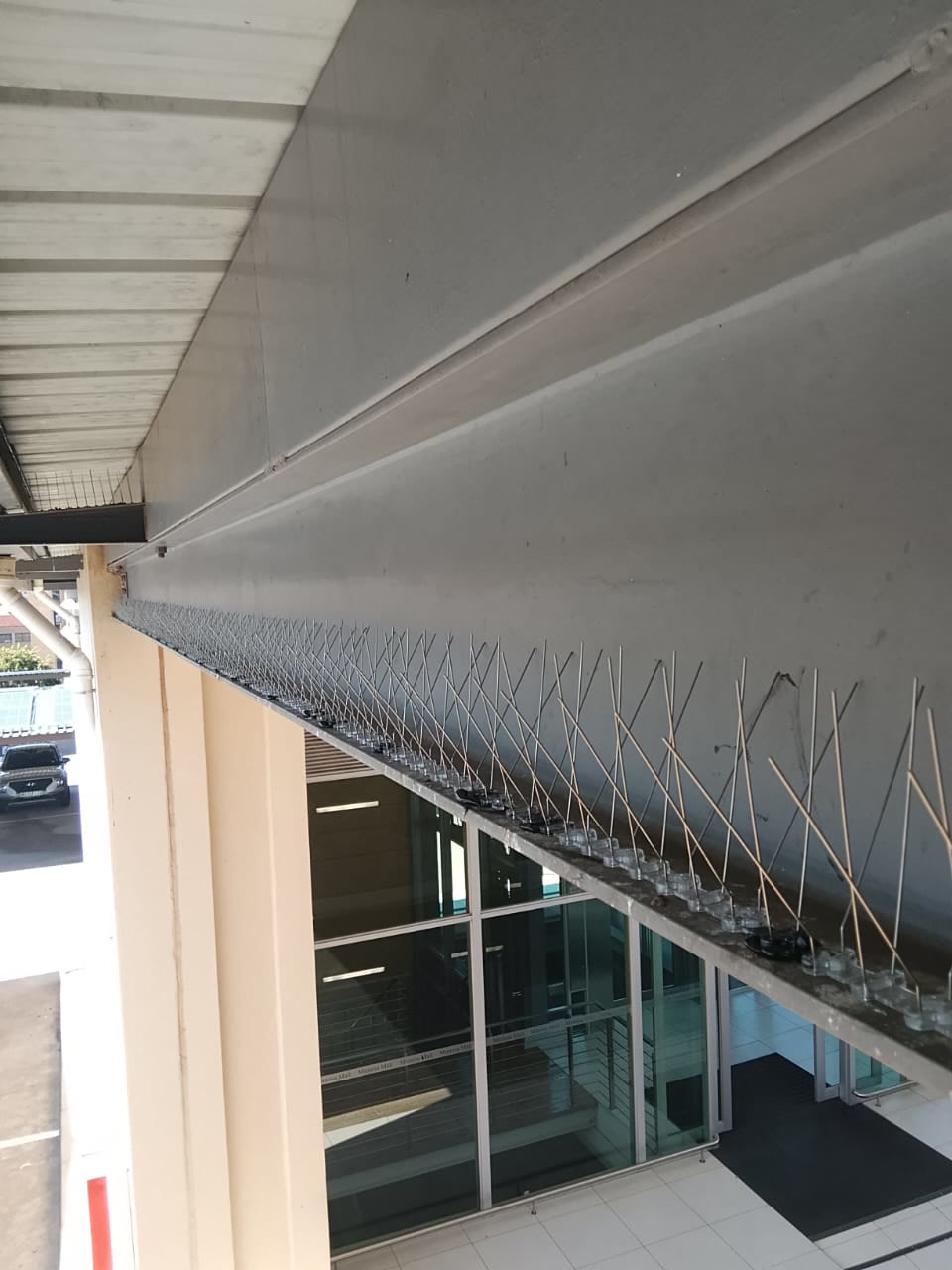 Bird spikes on commercial building