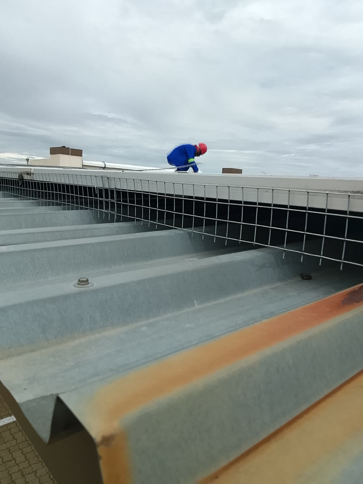 Boya Pest Control technician working on a rooftop in Johannesburg